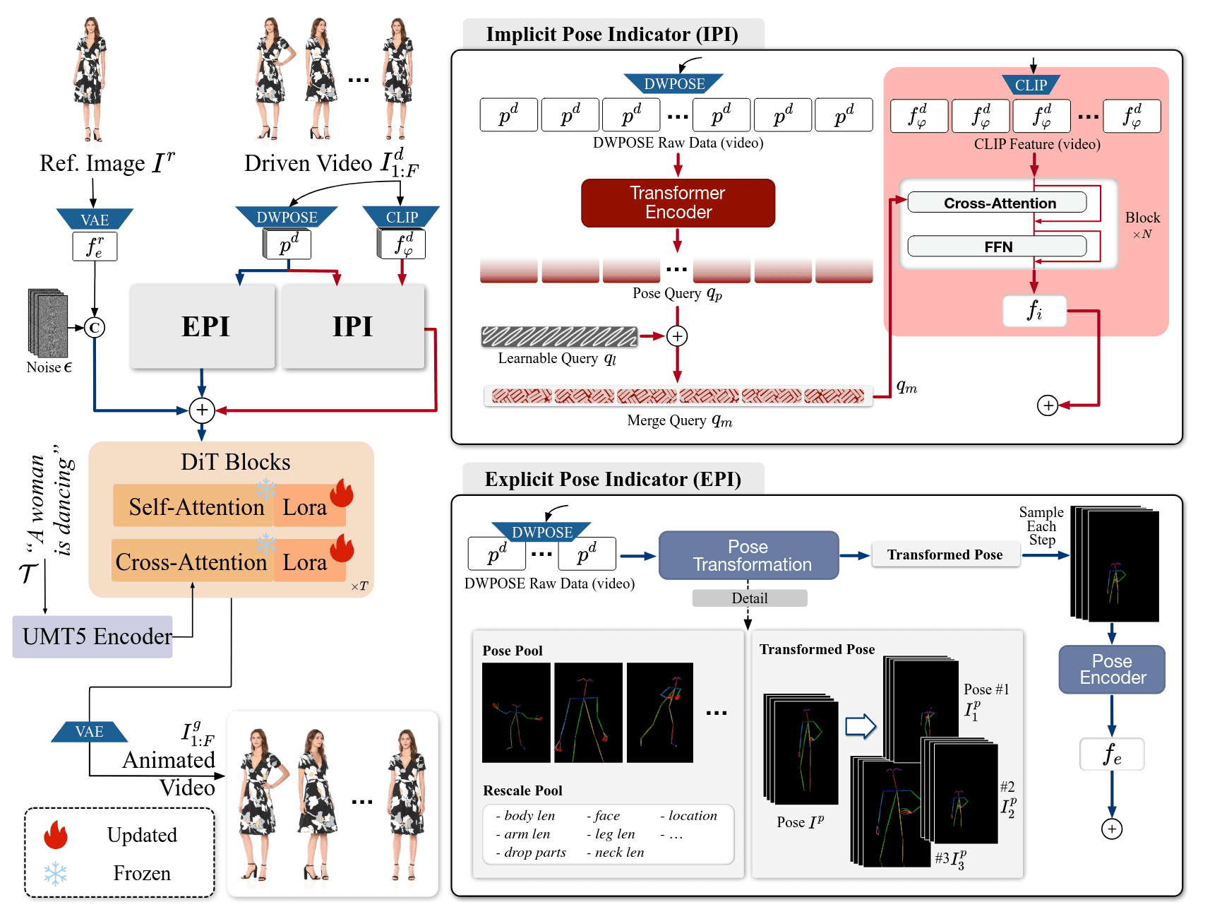 Animate-XPlus-overview