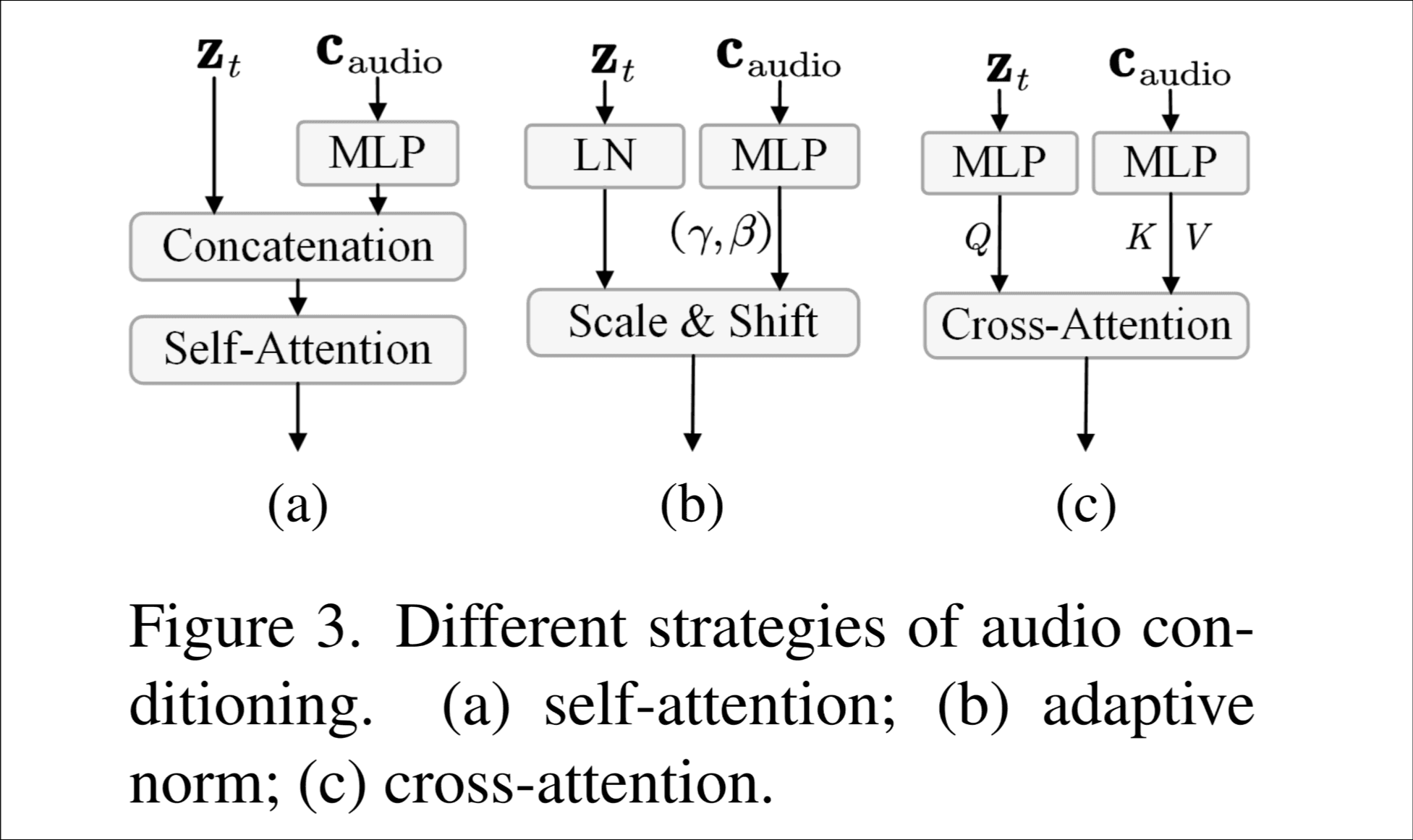 Hallo3-audioCondition